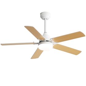 Energy Saving 42 Inch Ceiling Fan 5 Plywood Blade Noiseless Reversible Dc Motor Remote Control With Led Light