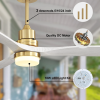 Indoor 52 Inch Ceiling Fan With Dimmable Led Light 6 Speed Remote Gold 3 Wood Blade Reversible DC Motor For Living Room