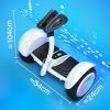 IE-K8 Electric Scooter 10 Inches Tire 700W Battery 36V 4AH Electric Self-Balancing scooter 80KG Load