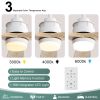 Modern Ceiling Fan with Remote Control,3 Mahogany Solid Wood Blades,60 Inches Suitable for Indoor and Outdoor