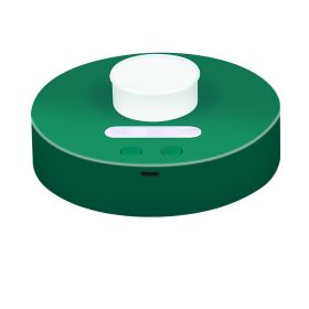 Portable Office Home Night Light Spray Humidifier (Option: Green-USB)