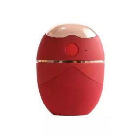 Eye Protector Mini Spray  Conditioner Atomizing (Option: Red-USB)